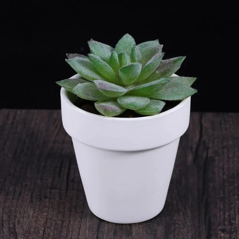 White Terracotta Pots Set of 6, 8 cm Small Planters with Drainage Holes for Succulents and Herbs