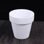 White Terracotta Pots Set of 6, 8 cm Small Planters with Drainage Holes for Succulents and Herbs