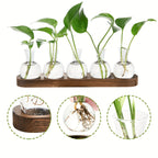Glass Propagation Station with Wood-Tone Tray, Hydroponic Vase for Cuttings and Plants, 3 or 5 Vases