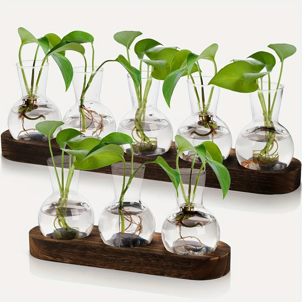 Glass Propagation Station with Wood-Tone Tray, Hydroponic Vase for Cuttings and Plants, 3 or 5 Vases