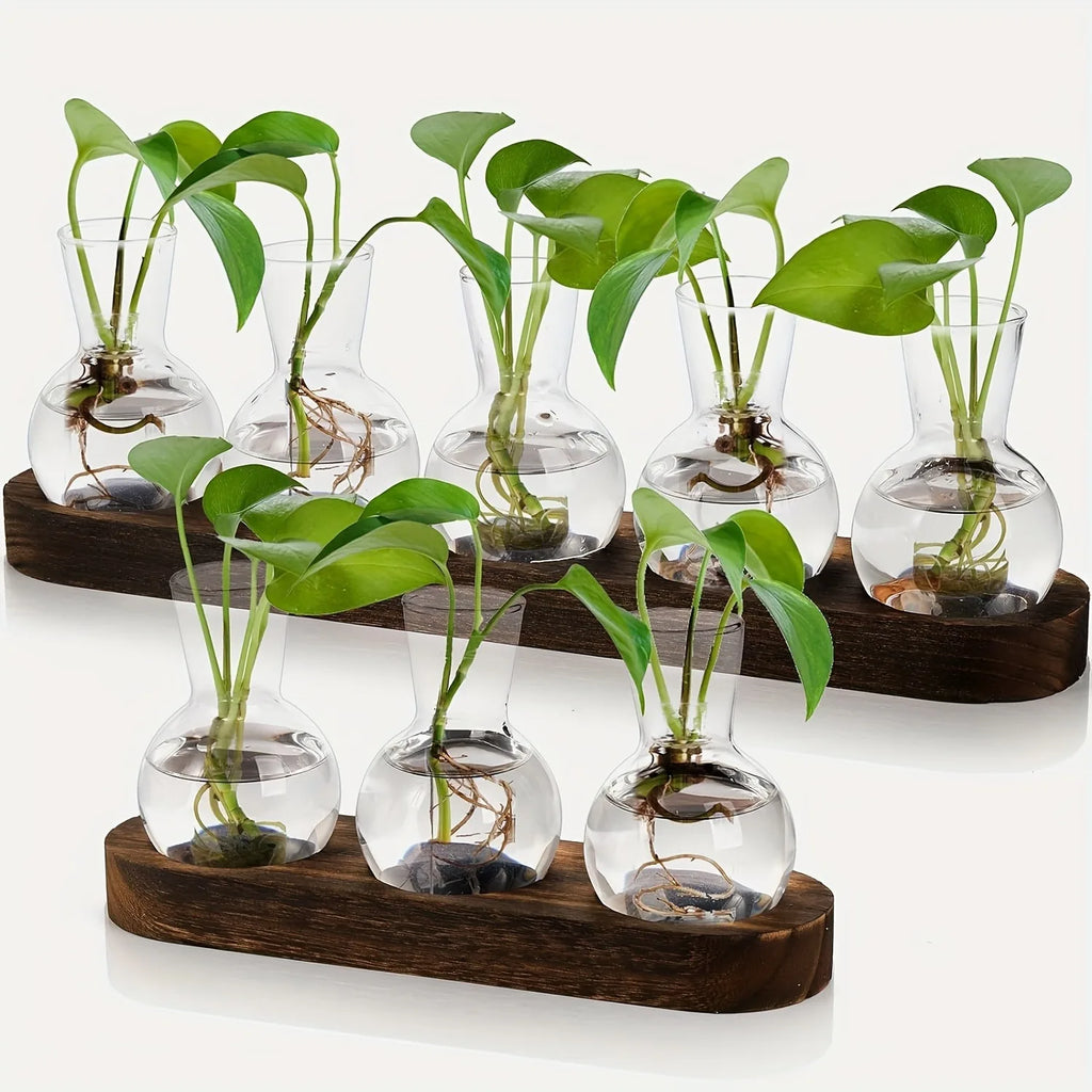 Glass Propagation Station with Wood-Tone Tray, Hydroponic Vase for Cuttings and Plants, 3 or 5 Vases