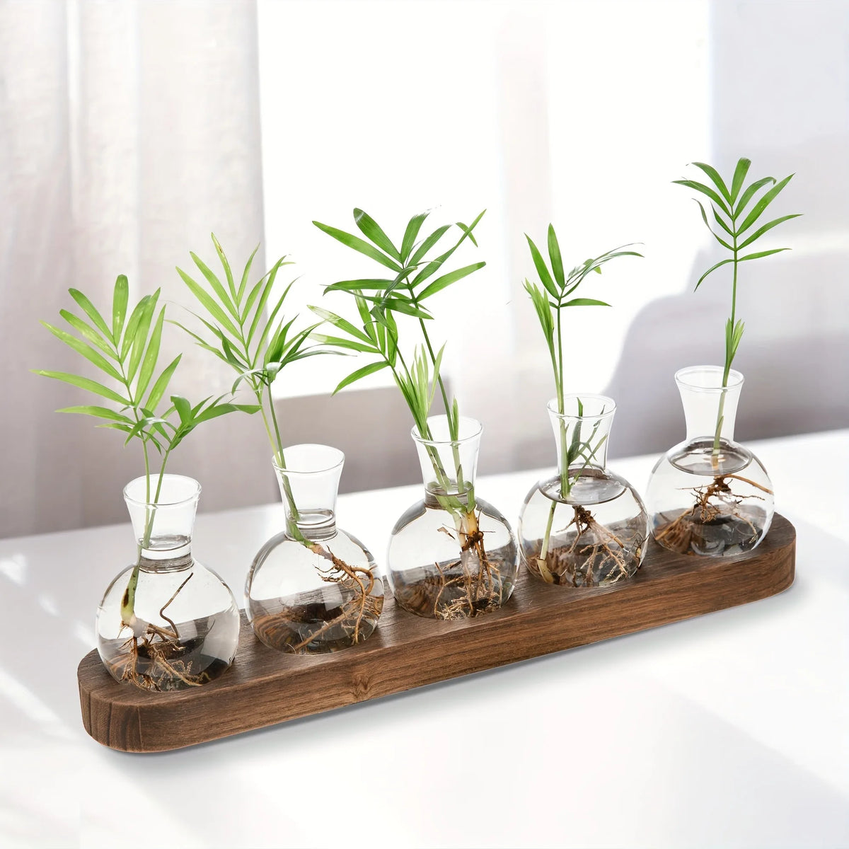 Glass Propagation Station with Wood-Tone Tray, Hydroponic Vase for Cuttings and Plants, 3 or 5 Vases