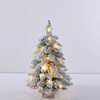 Snow Flocked Tabletop Christmas Tree with LED Lights, Mini Holiday Tree for Desk, Shelf and Windowsill