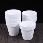 White Terracotta Pots Set of 6, 8 cm Small Planters with Drainage Holes for Succulents and Herbs
