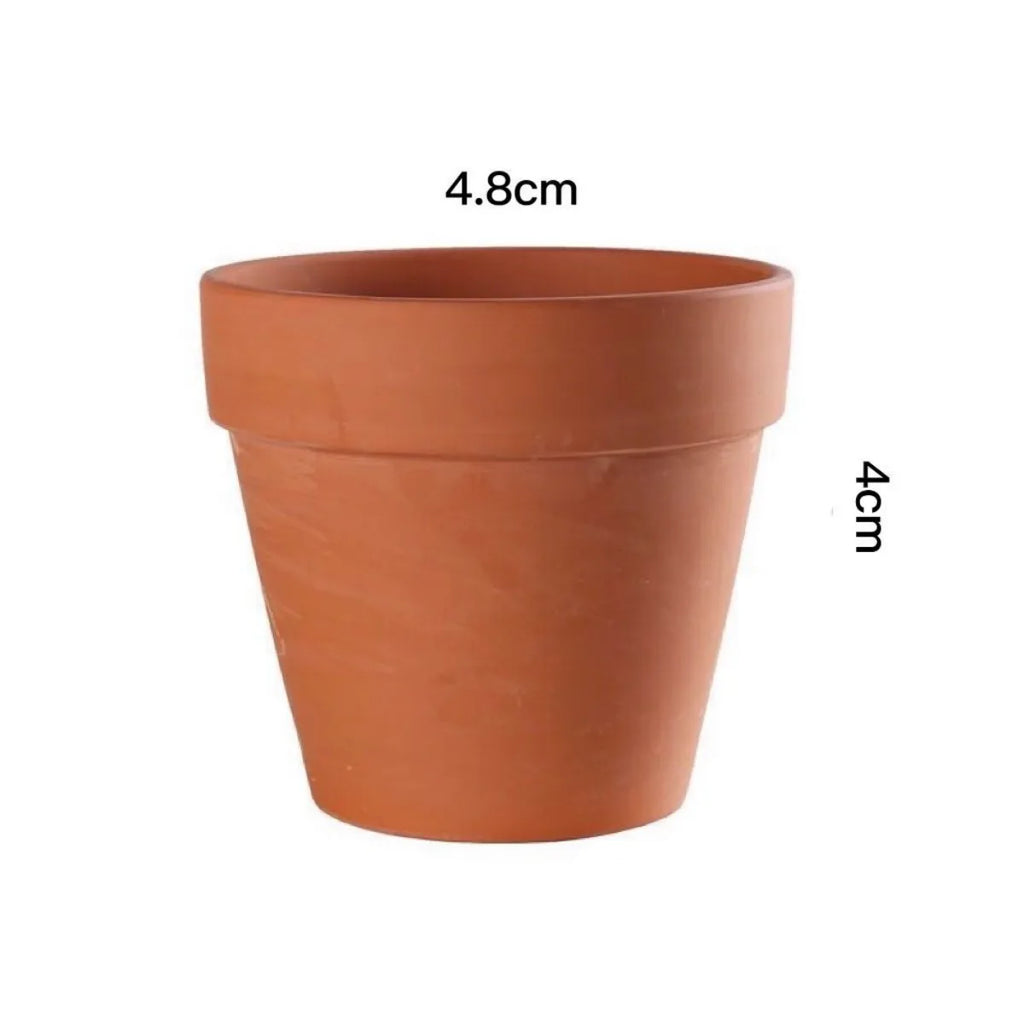 Terracotta Pots Set of 16, 4.5 cm Mini Clay Planters with Drainage Holes for Succulents