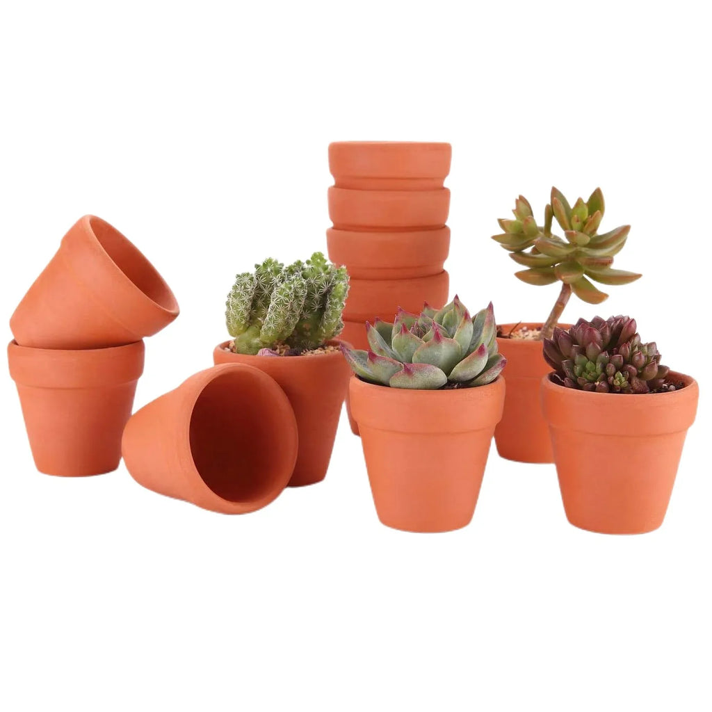 Terracotta Pots Set of 16, 4.5 cm Mini Clay Planters with Drainage Holes for Succulents