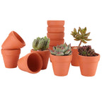 Terracotta Pots Set of 16, 4.5 cm Mini Clay Planters with Drainage Holes for Succulents