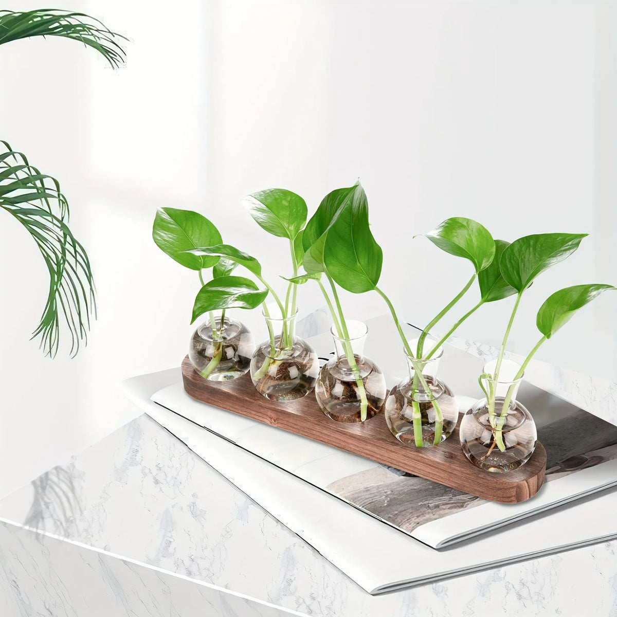 Glass Propagation Station with Wood-Tone Tray, Hydroponic Vase for Cuttings and Plants, 3 or 5 Vases