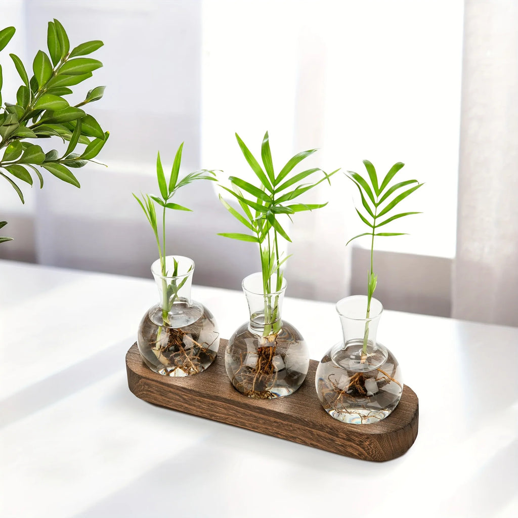 Glass Propagation Station with Wood-Tone Tray, Hydroponic Vase for Cuttings and Plants, 3 or 5 Vases