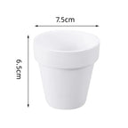 White Terracotta Pots Set of 6, 8 cm Small Planters with Drainage Holes for Succulents and Herbs