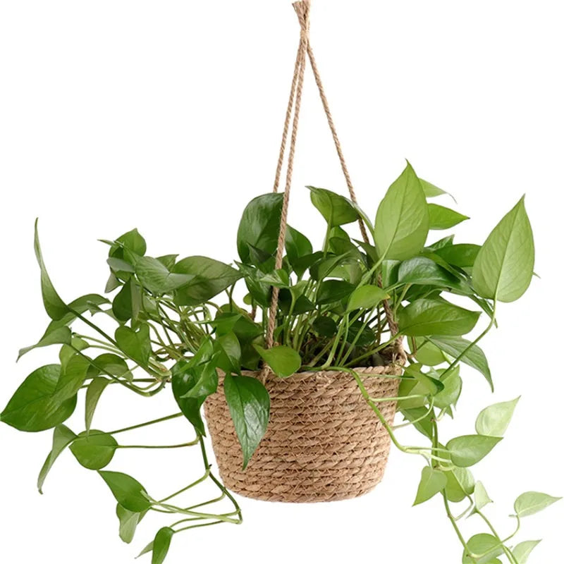 Hanging Jute Planter Basket, product photo 3