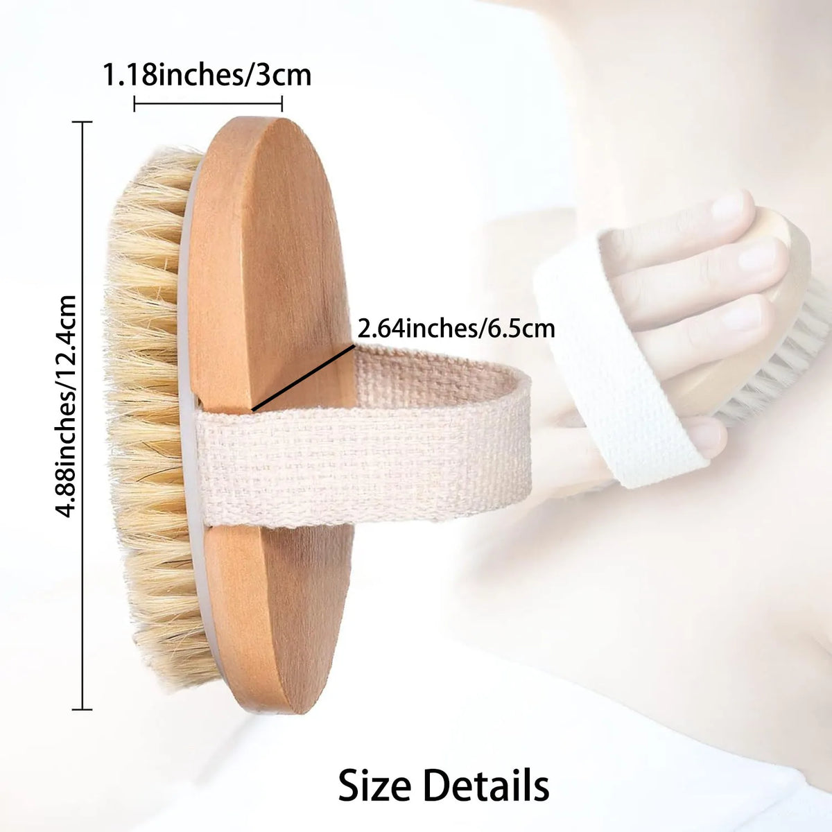 Dry Body Brush Set of 2, product photo 4
